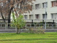 Imagine atasata: 20251205_115834.jpg